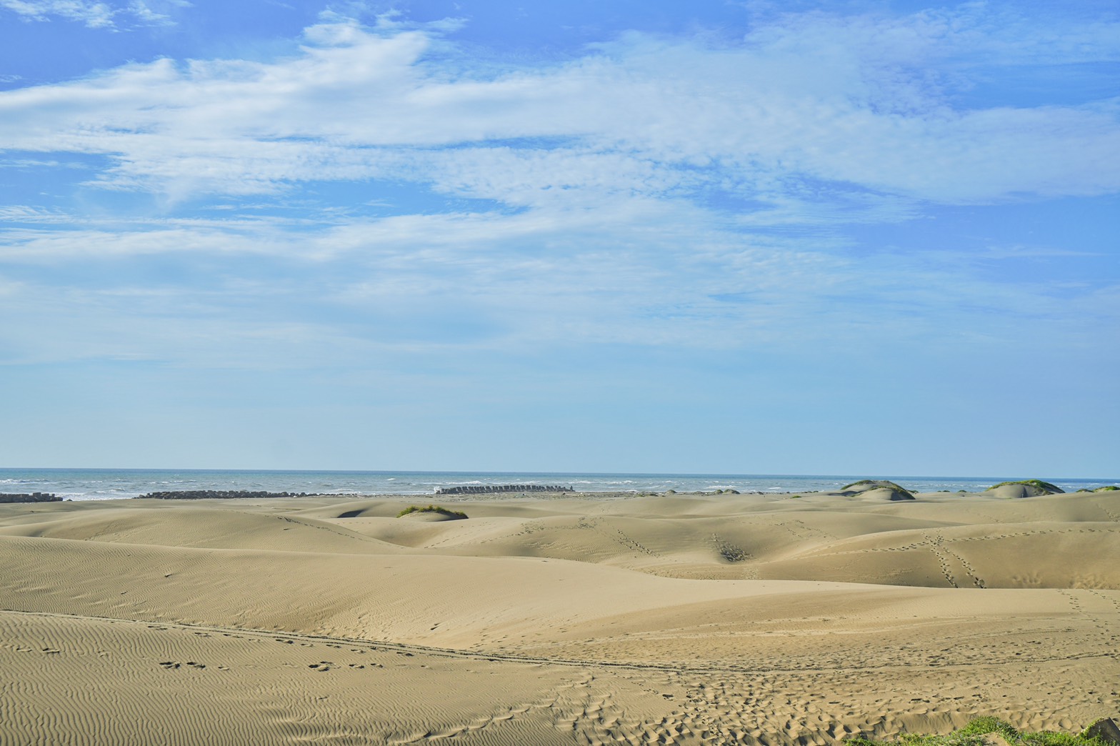 頂頭額沙洲,撒哈拉沙漠