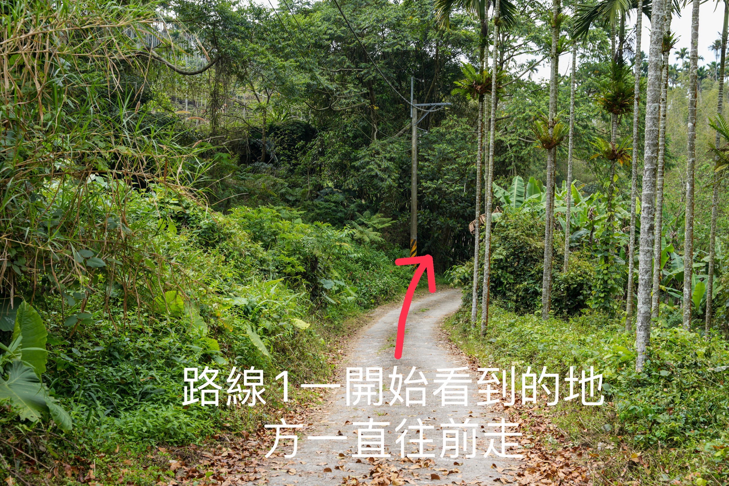 土匪山生態園區