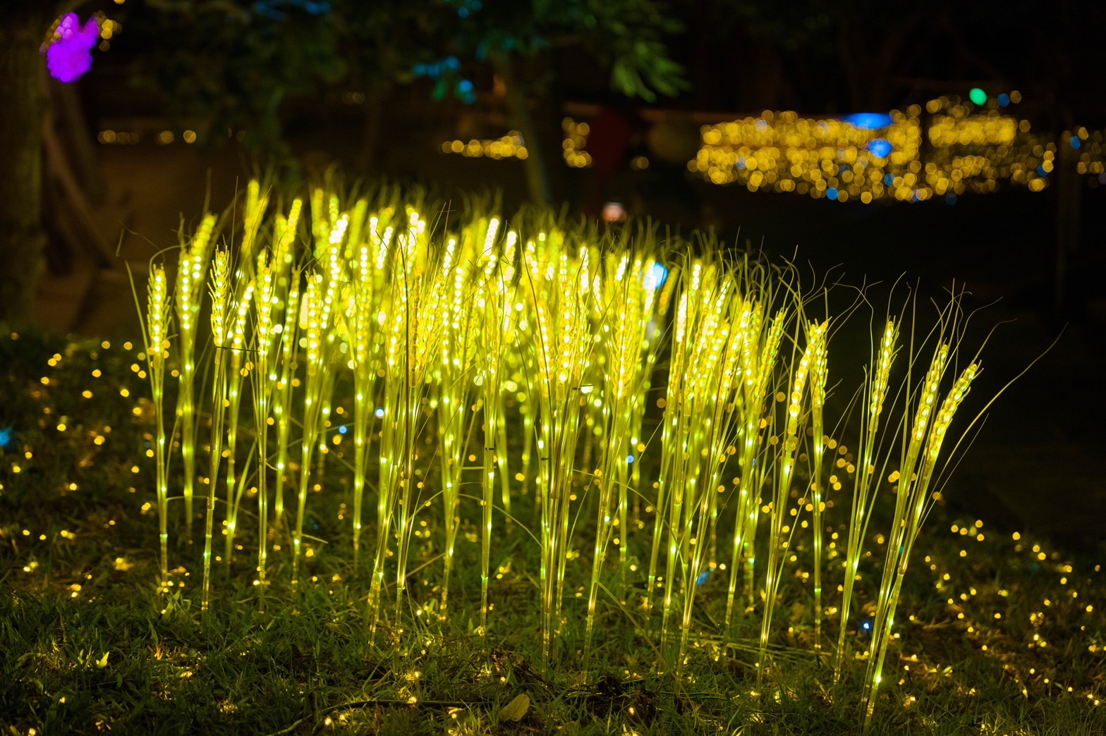 四重溪溫泉公園 水豚卡比園區