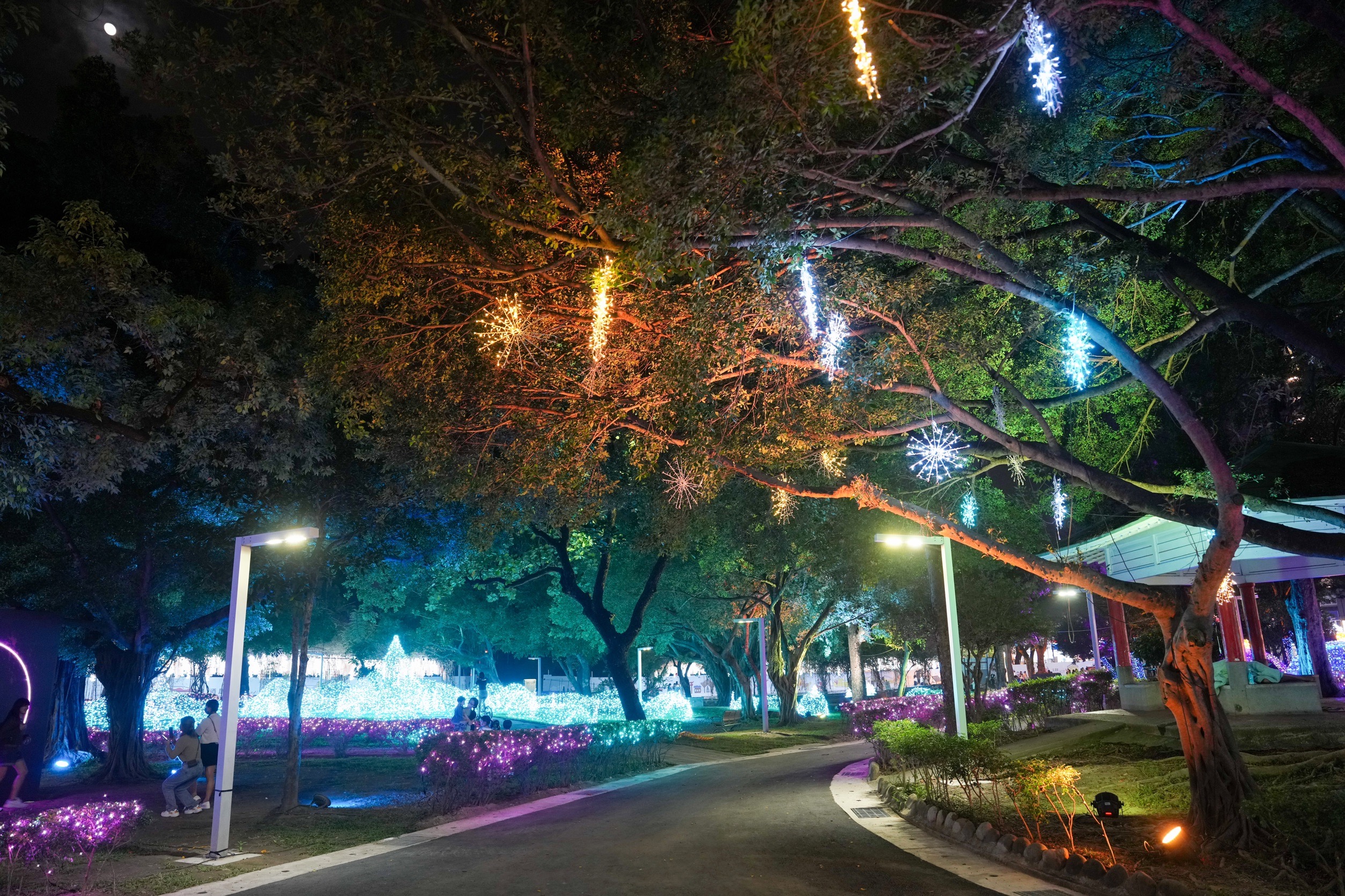  屏東公園聖誕節