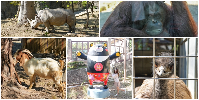 壽山動物園,高雄,高雄景點 @跟著阿瑋去旅行