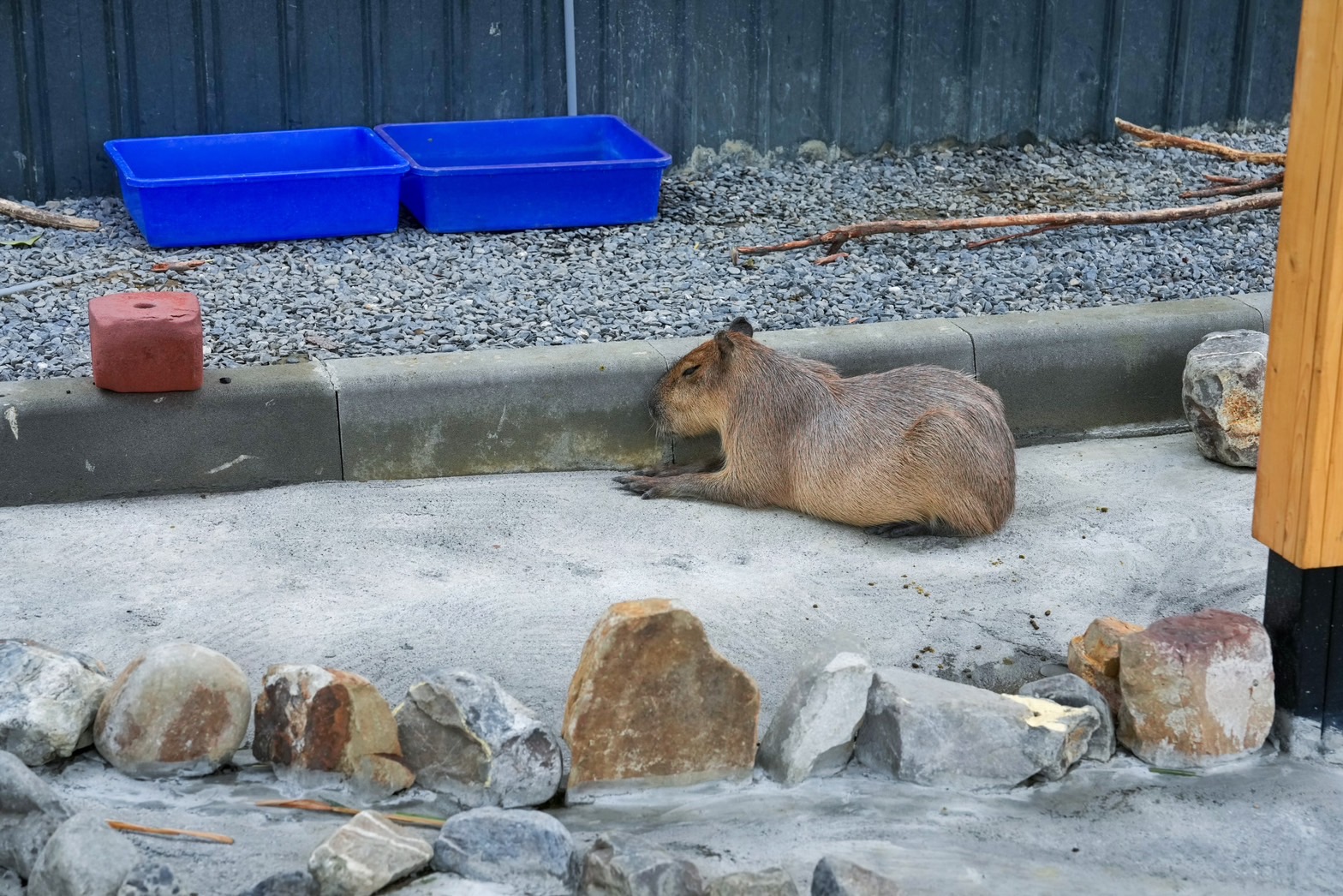 墾丁鹿ㄦ島水豚生態園區