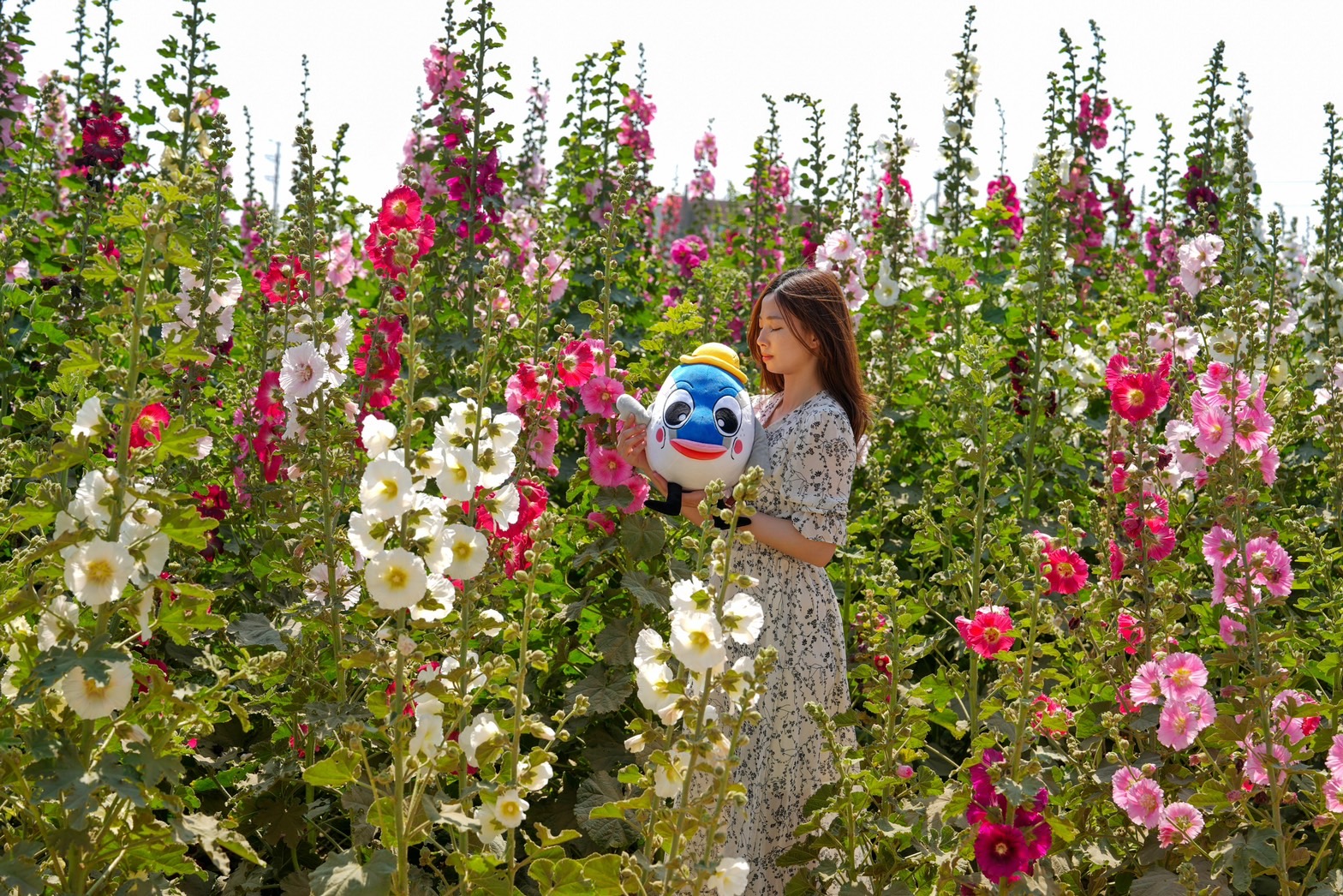 2023學甲蜀葵花文化節