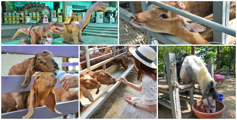 網站近期文章：【台南景點】樹谷農場 園區內有10多種可愛小動物可以互動及餵食 農場旁邊還有各種遊樂設施讓小孩可以玩