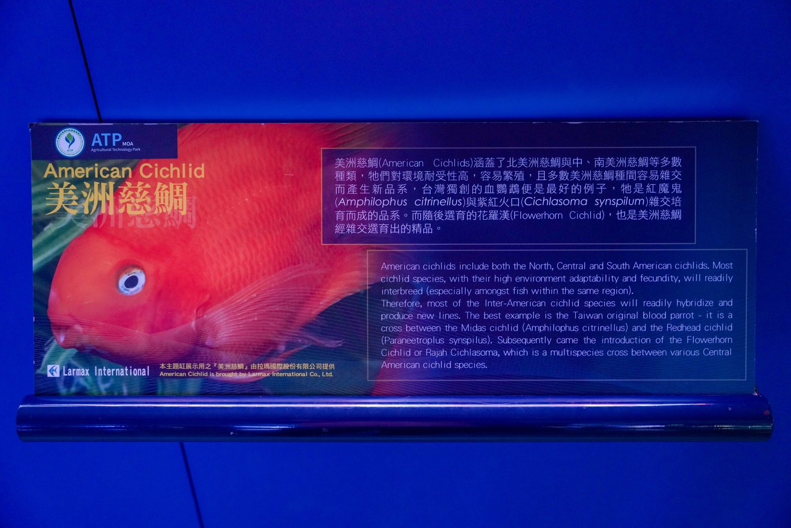 S__31154222_0 @跟著阿瑋去旅行 @跟著阿瑋去旅行
