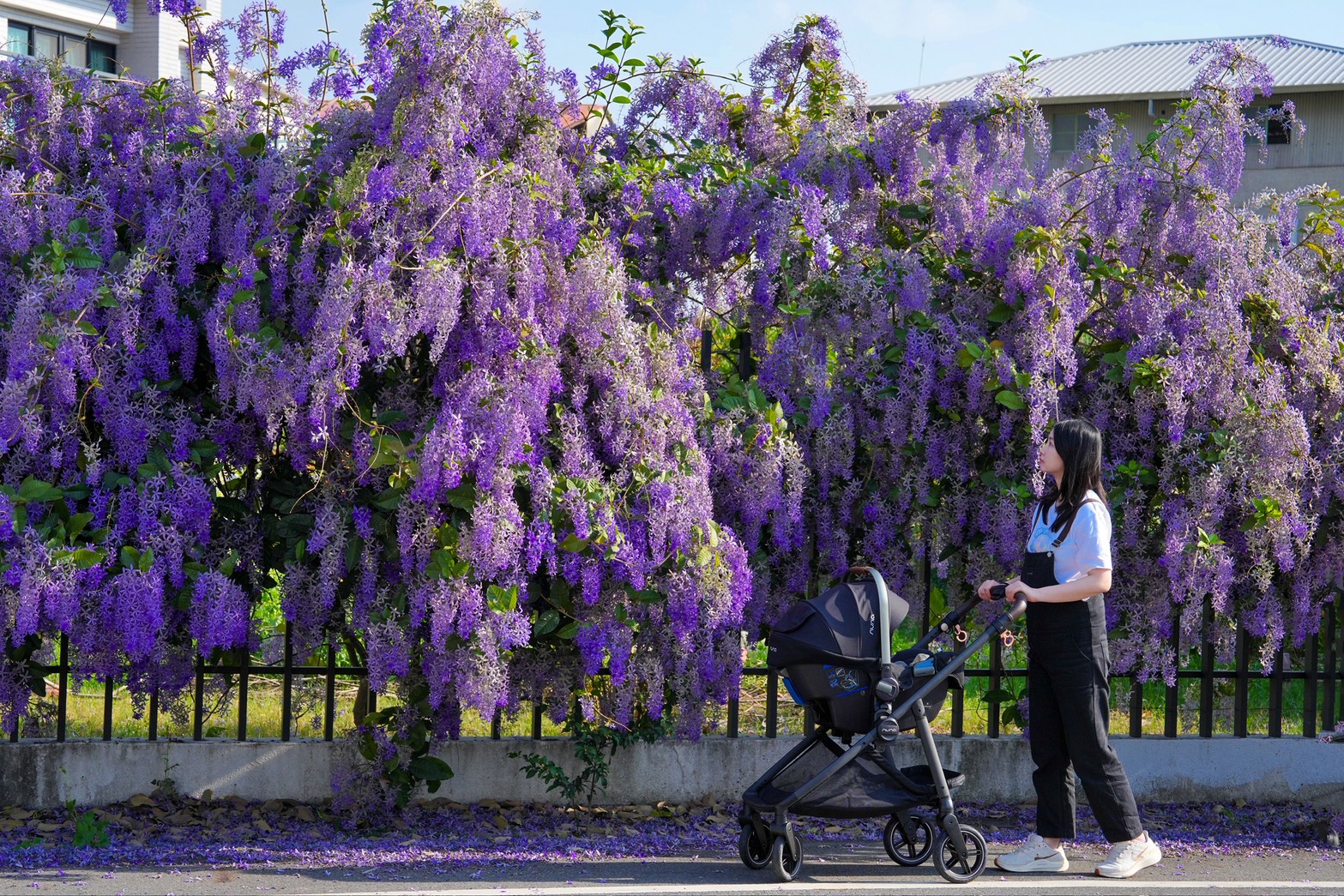 台南,台南景點,玉井 雙秀園,雙秀園