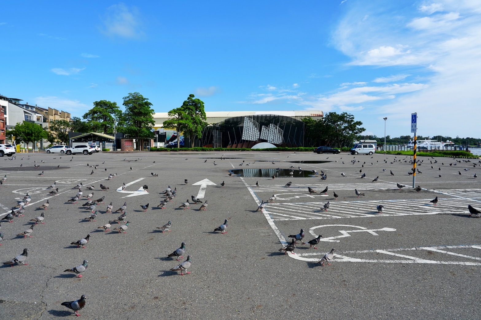 林默娘公園 軍事文化園區