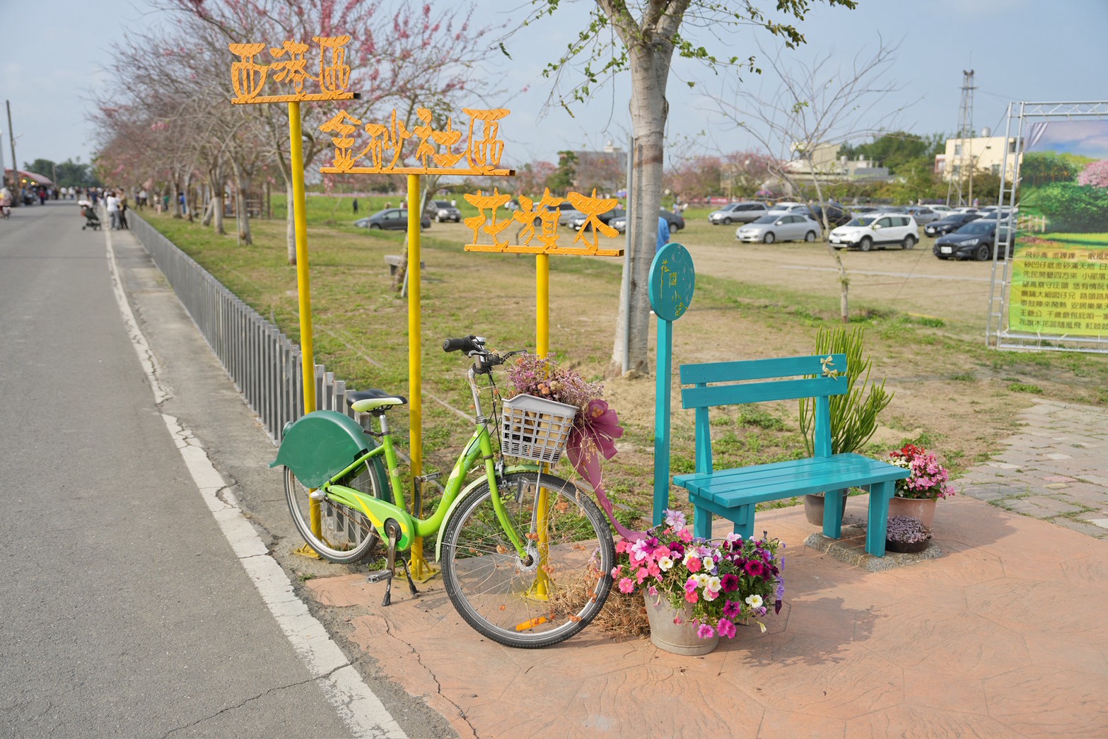 2025金砂里花旗木步道