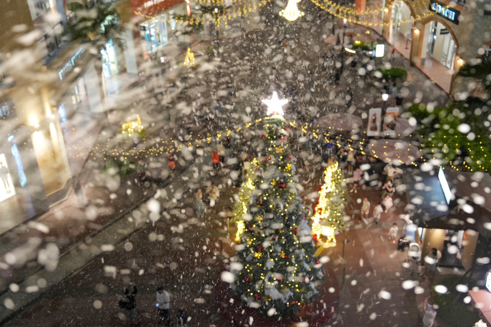 SKM Park Outlets 高雄草衙 聖誕樹