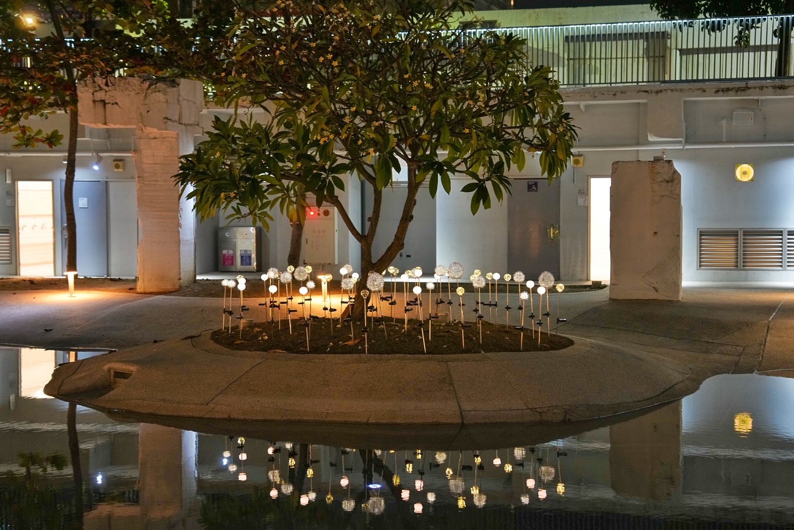 S__182108169_0 @跟著阿瑋去旅行 @跟著阿瑋去旅行