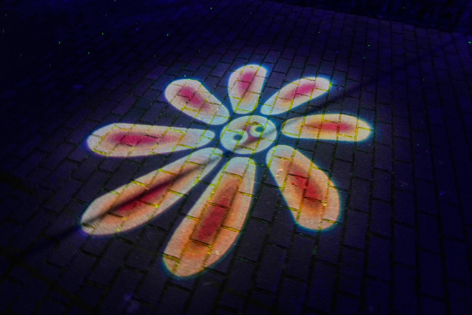 S__185122844_0 @跟著阿瑋去旅行 @跟著阿瑋去旅行