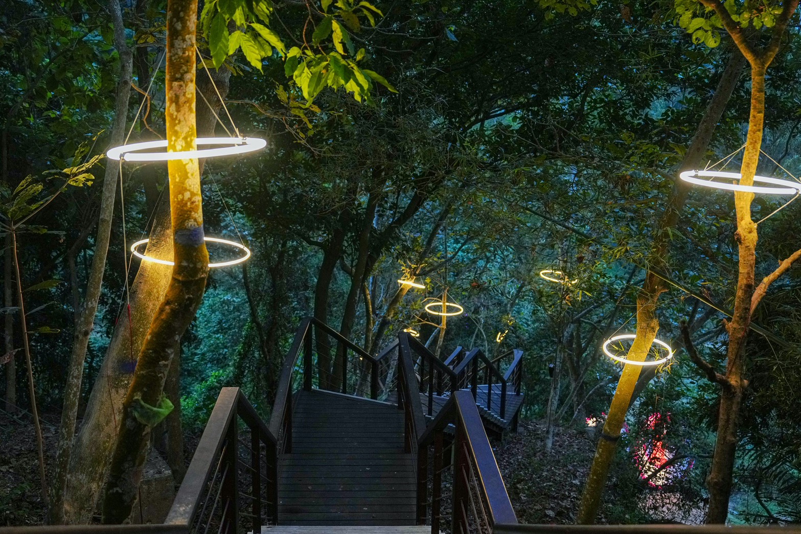 龍崎光節 空山祭