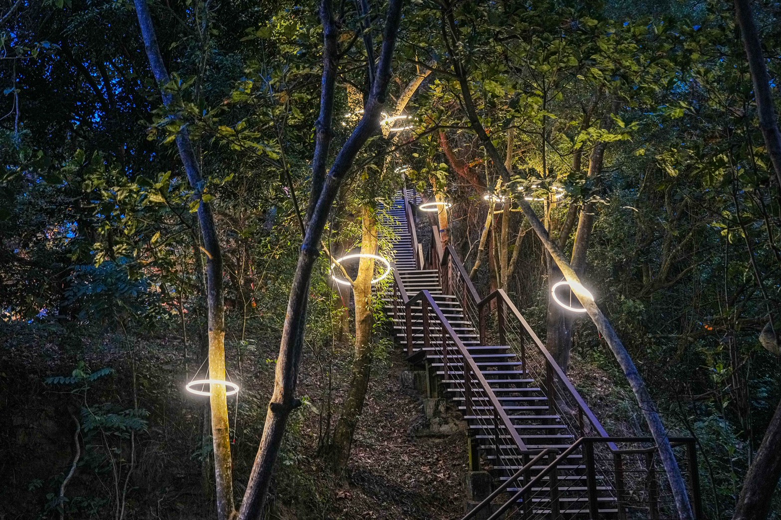 龍崎光節 空山祭