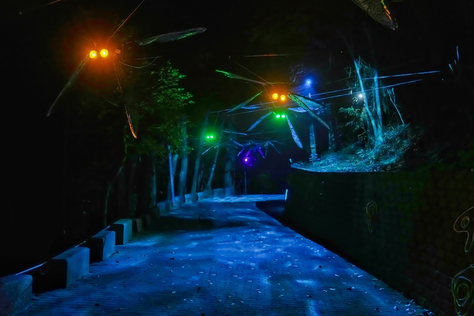 龍崎光節 空山祭