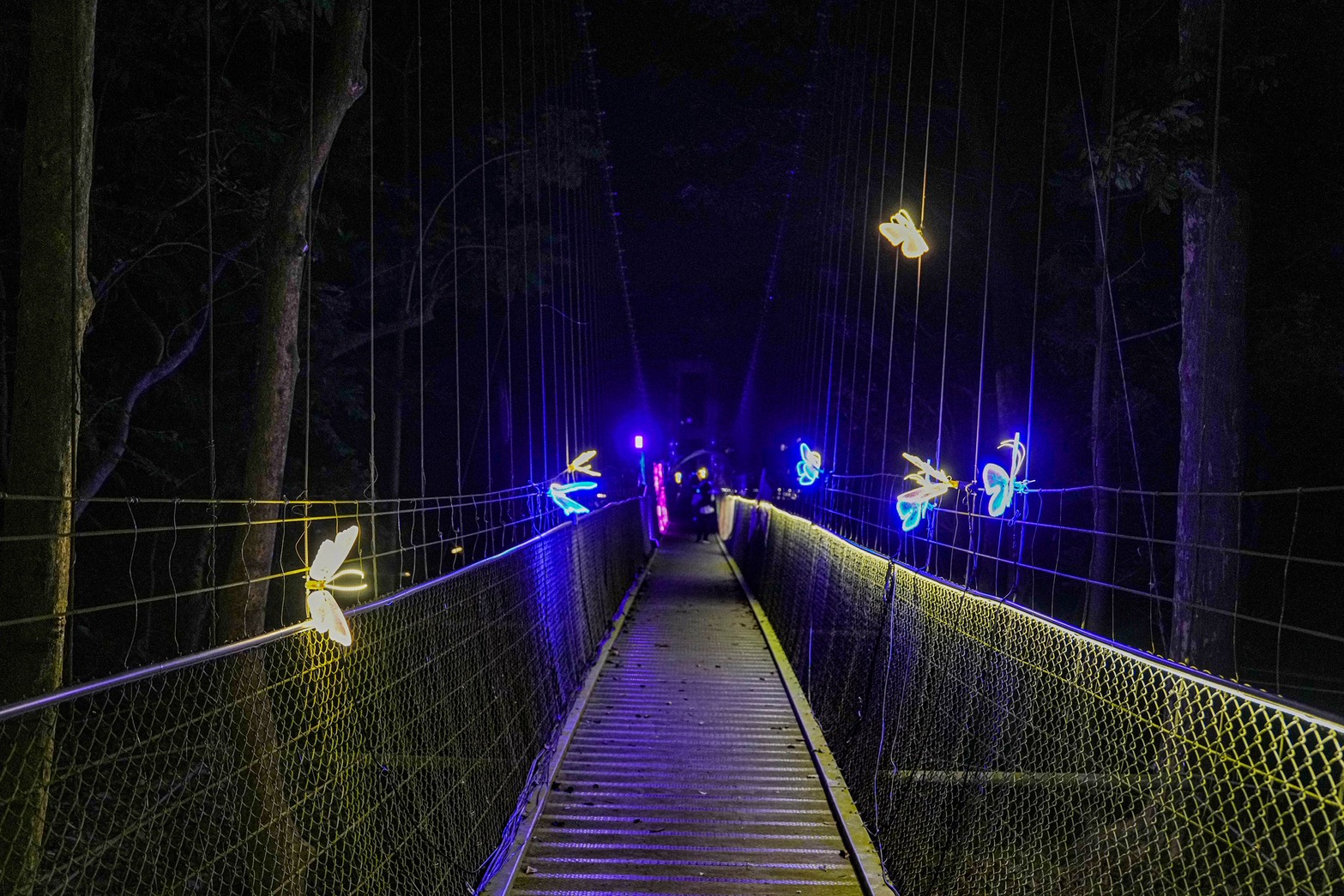 龍崎光節 空山祭