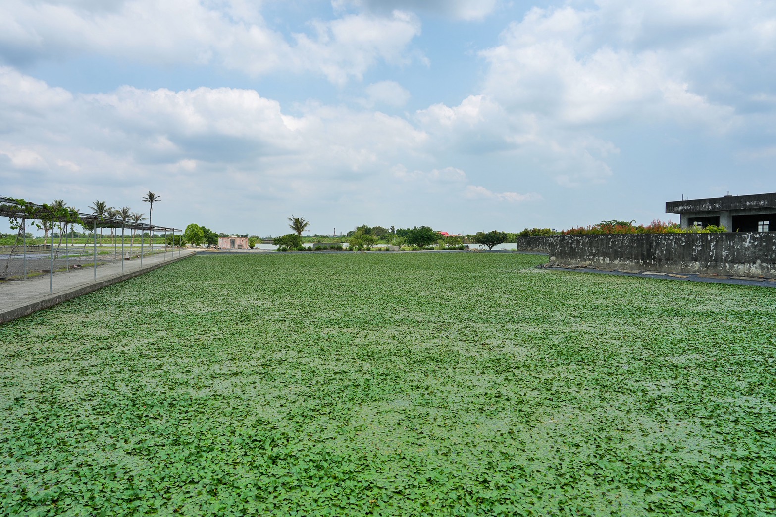 葫蘆埤自然公園