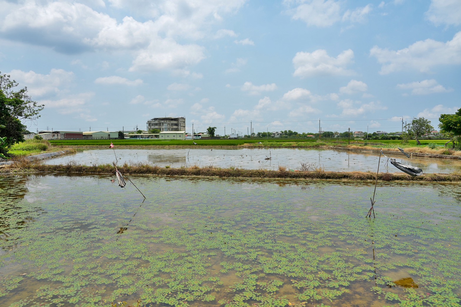 葫蘆埤自然公園