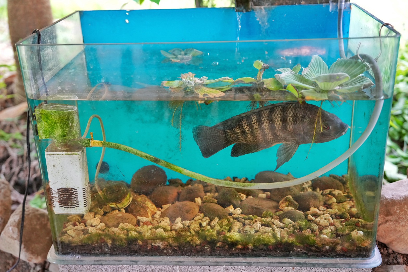 川文山森林生態保育農場