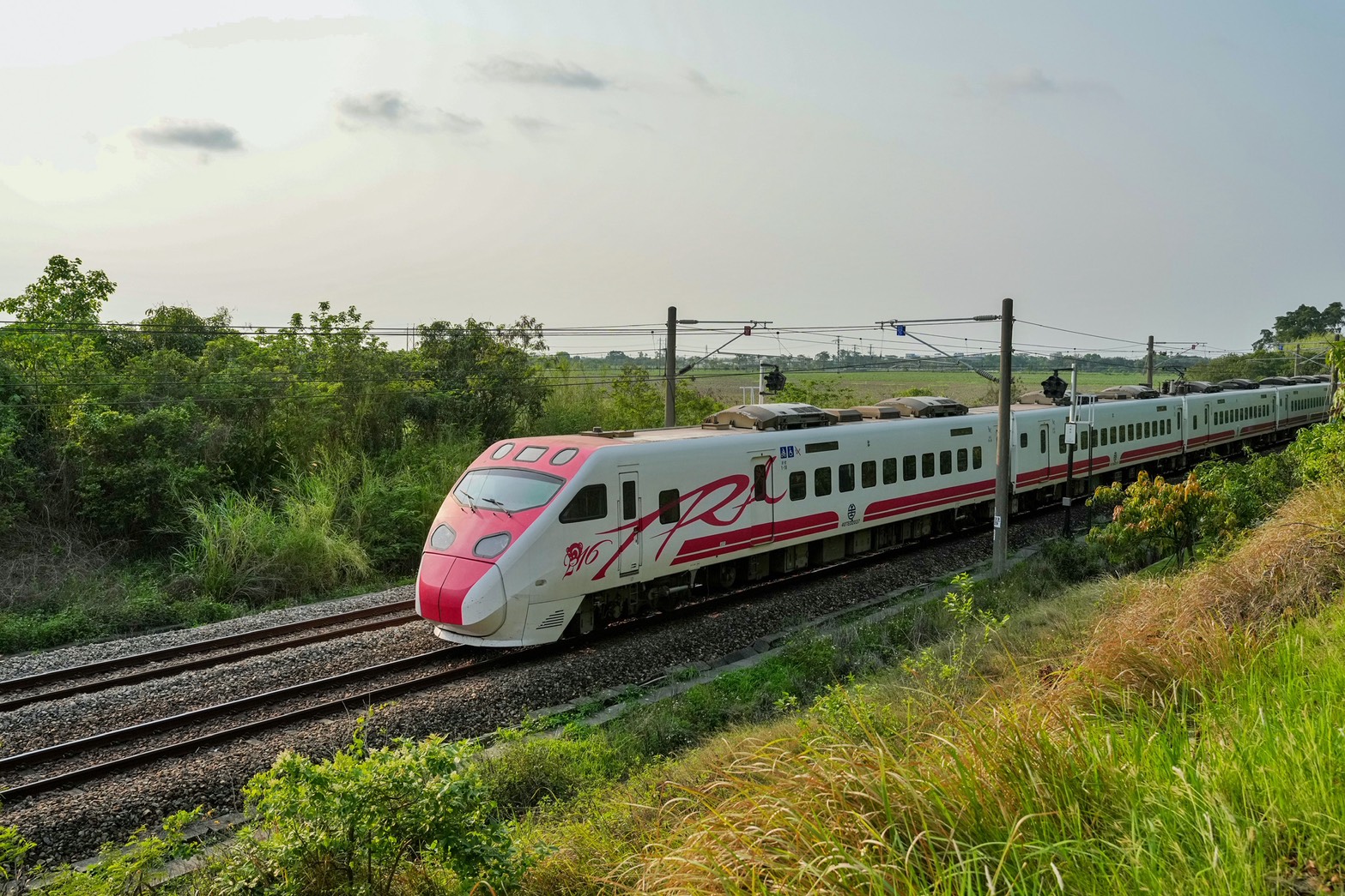 川文山森林生態保育農場