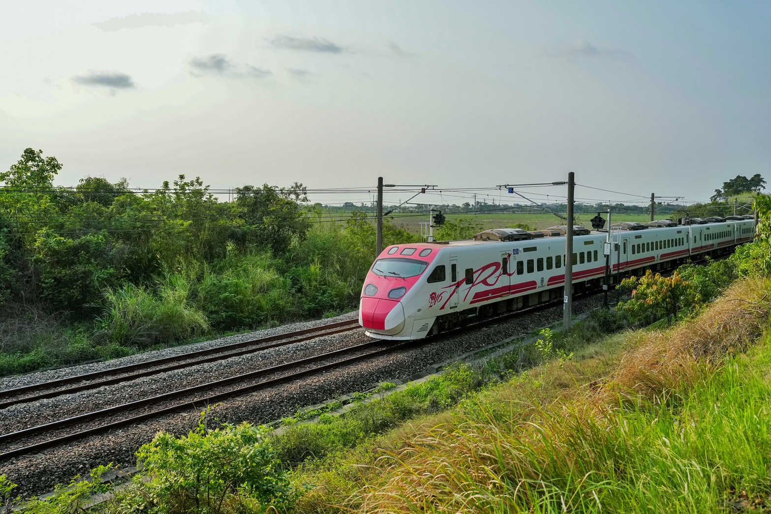 川文山森林生態保育農場