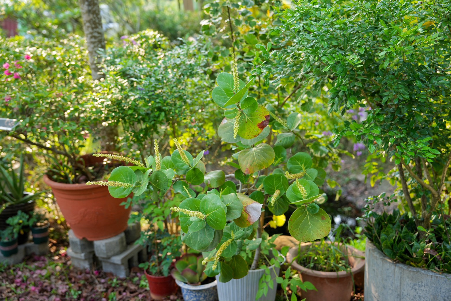川文山森林生態保育農場