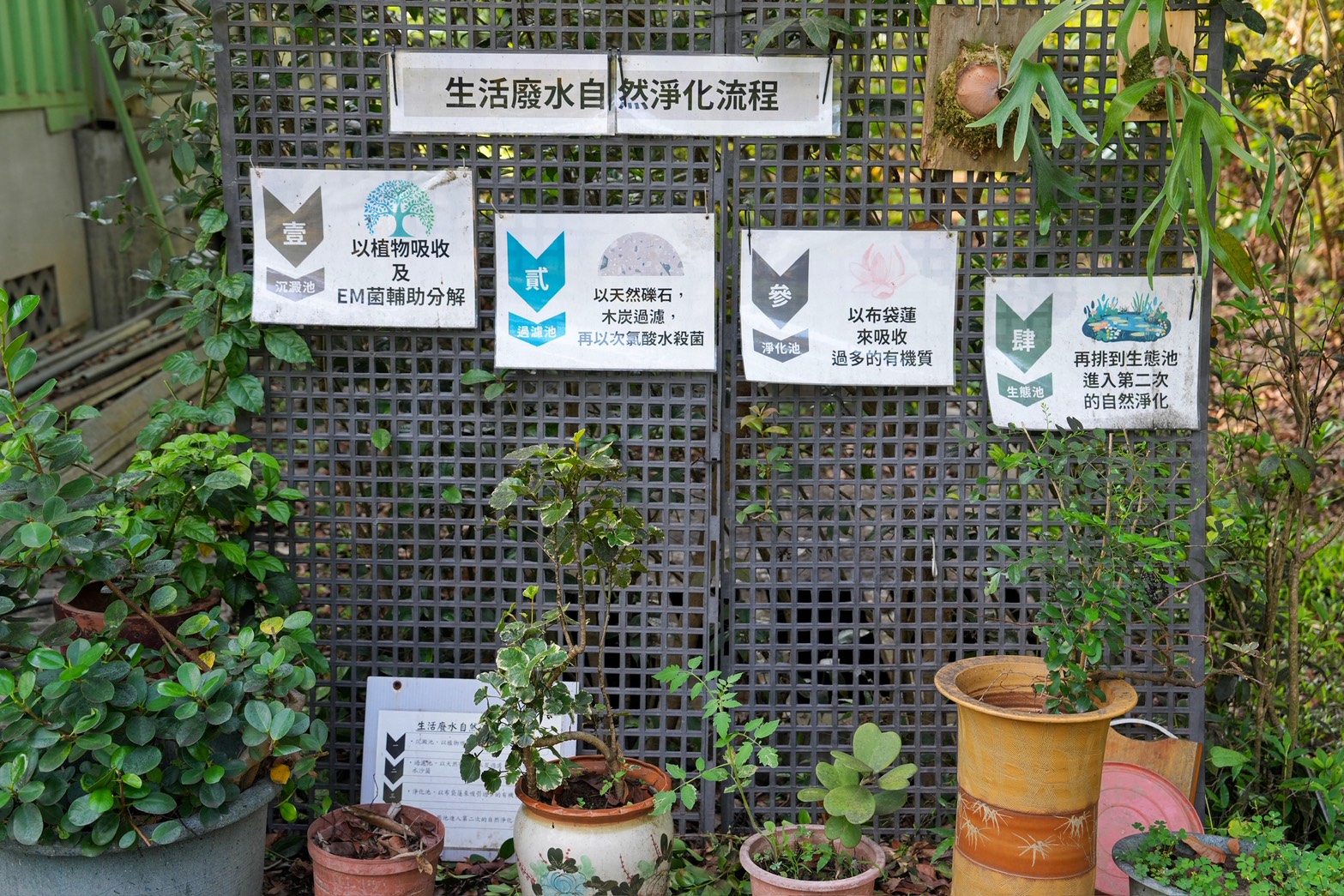 川文山森林生態保育農場