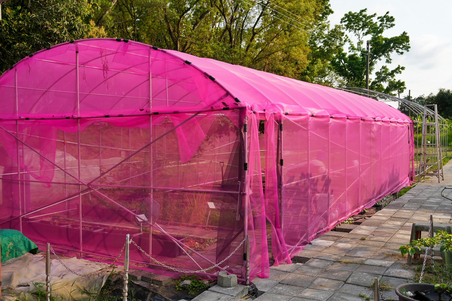 川文山森林生態保育農場