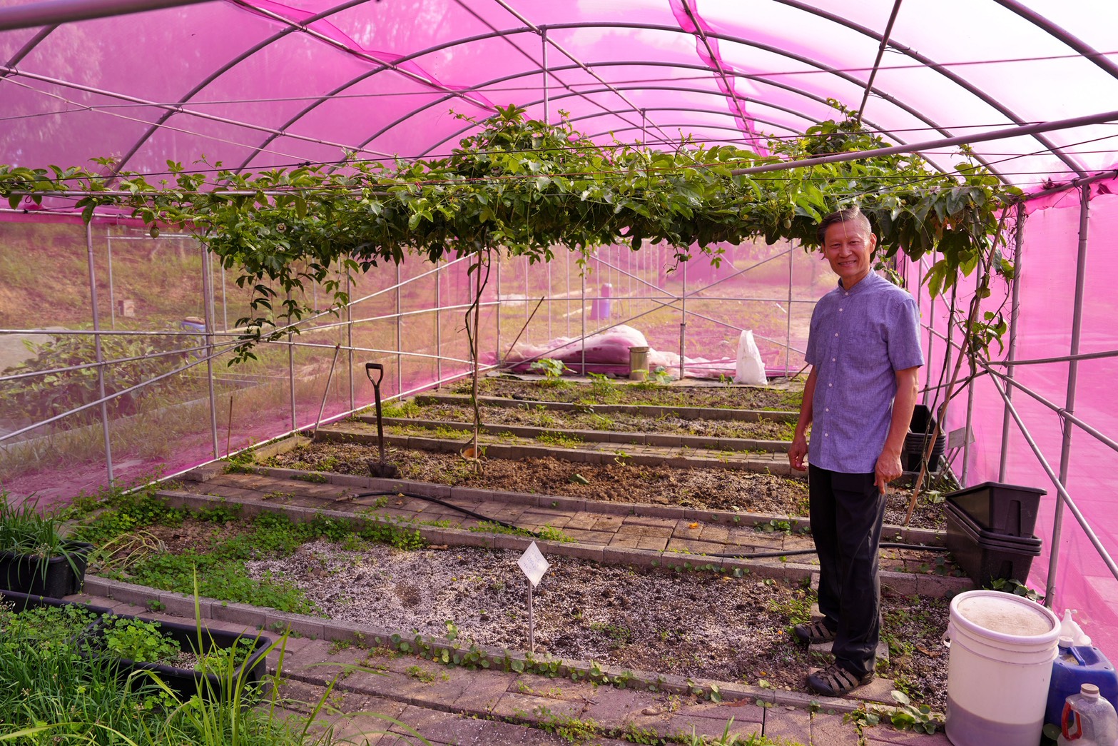川文山森林生態保育農場