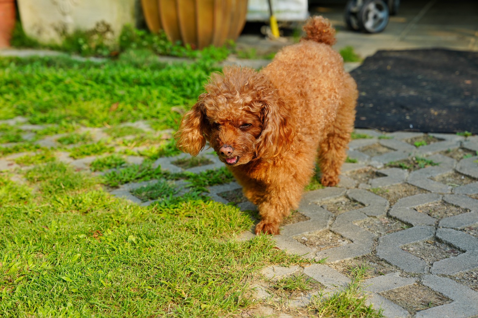 川文山森林生態保育農場