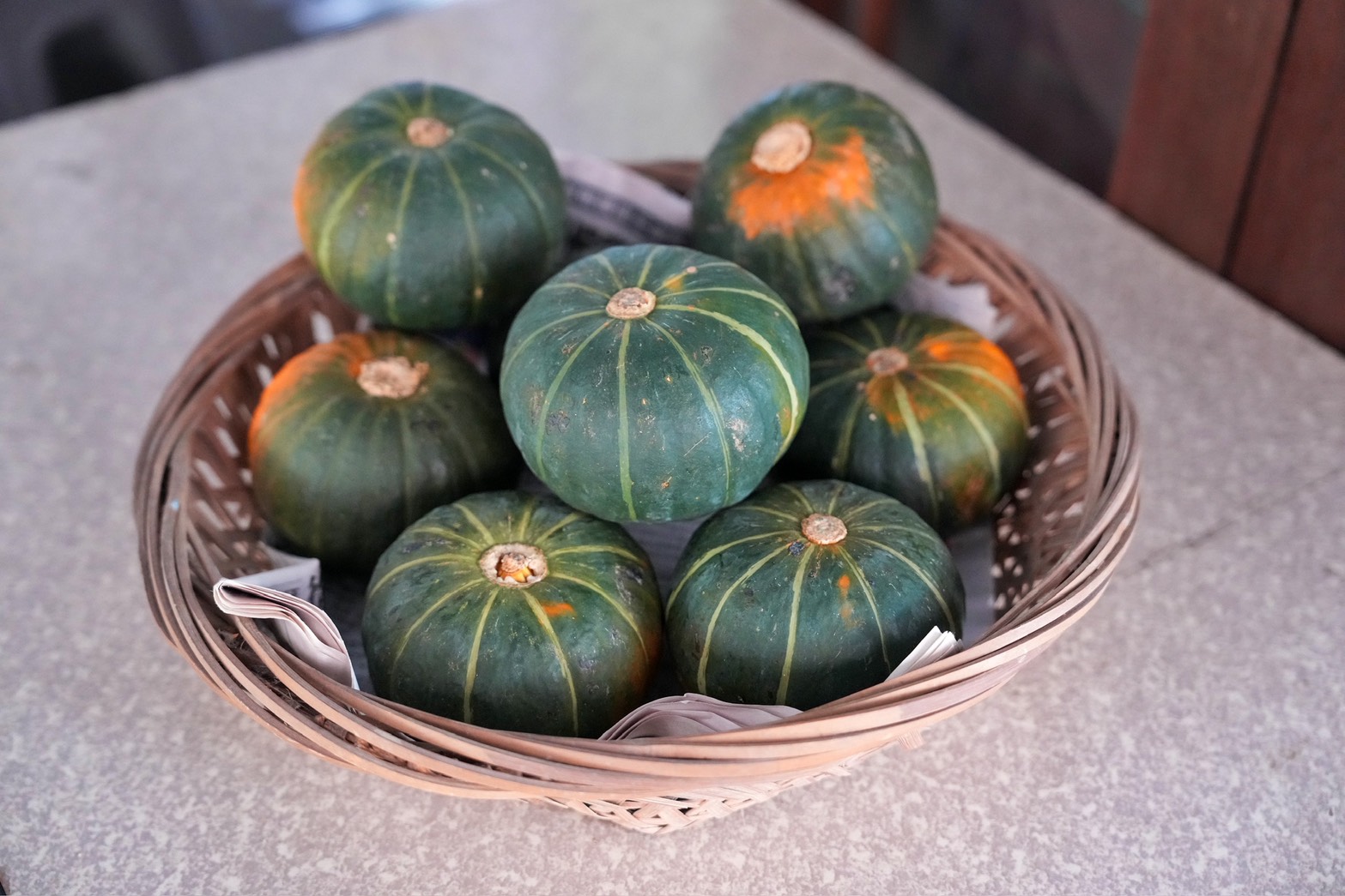 川文山森林生態保育農場