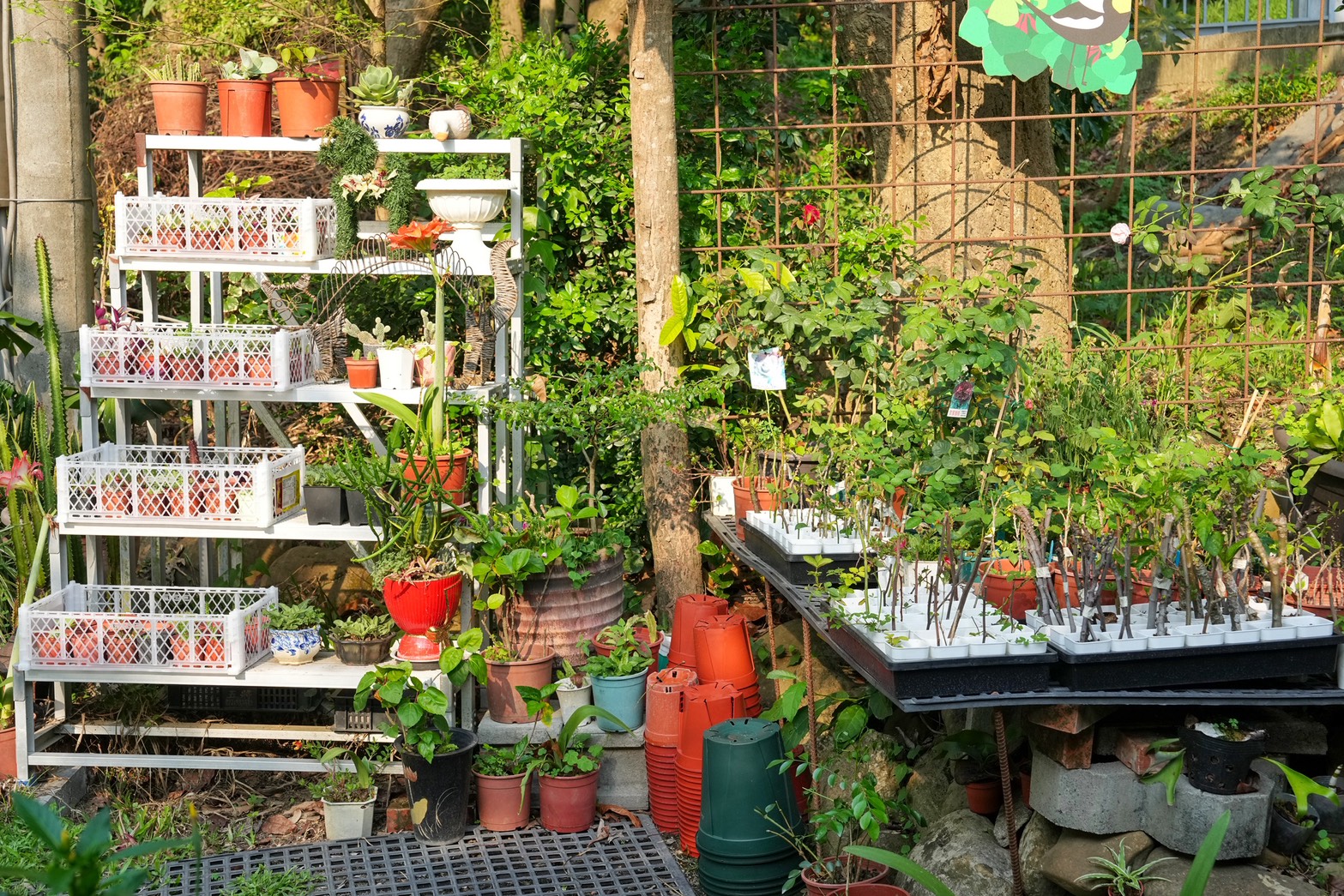 川文山森林生態保育農場