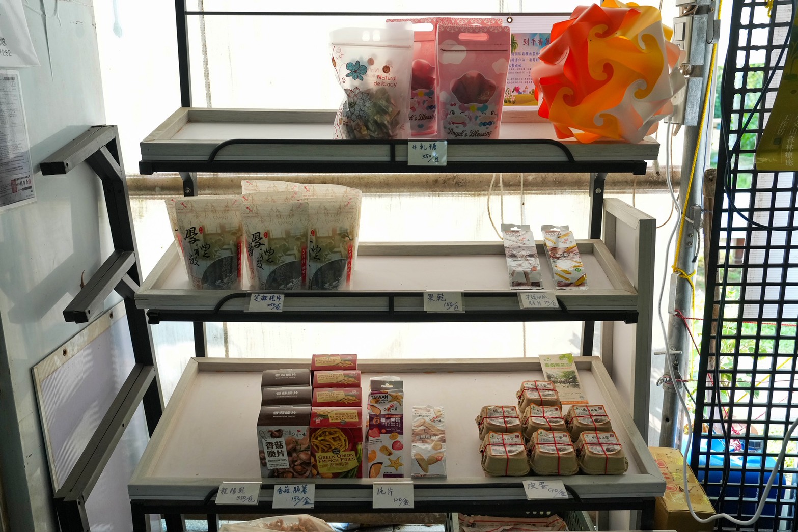 川文山森林生態保育農場