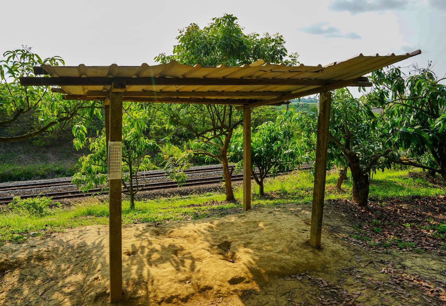 川文山森林生態保育農場