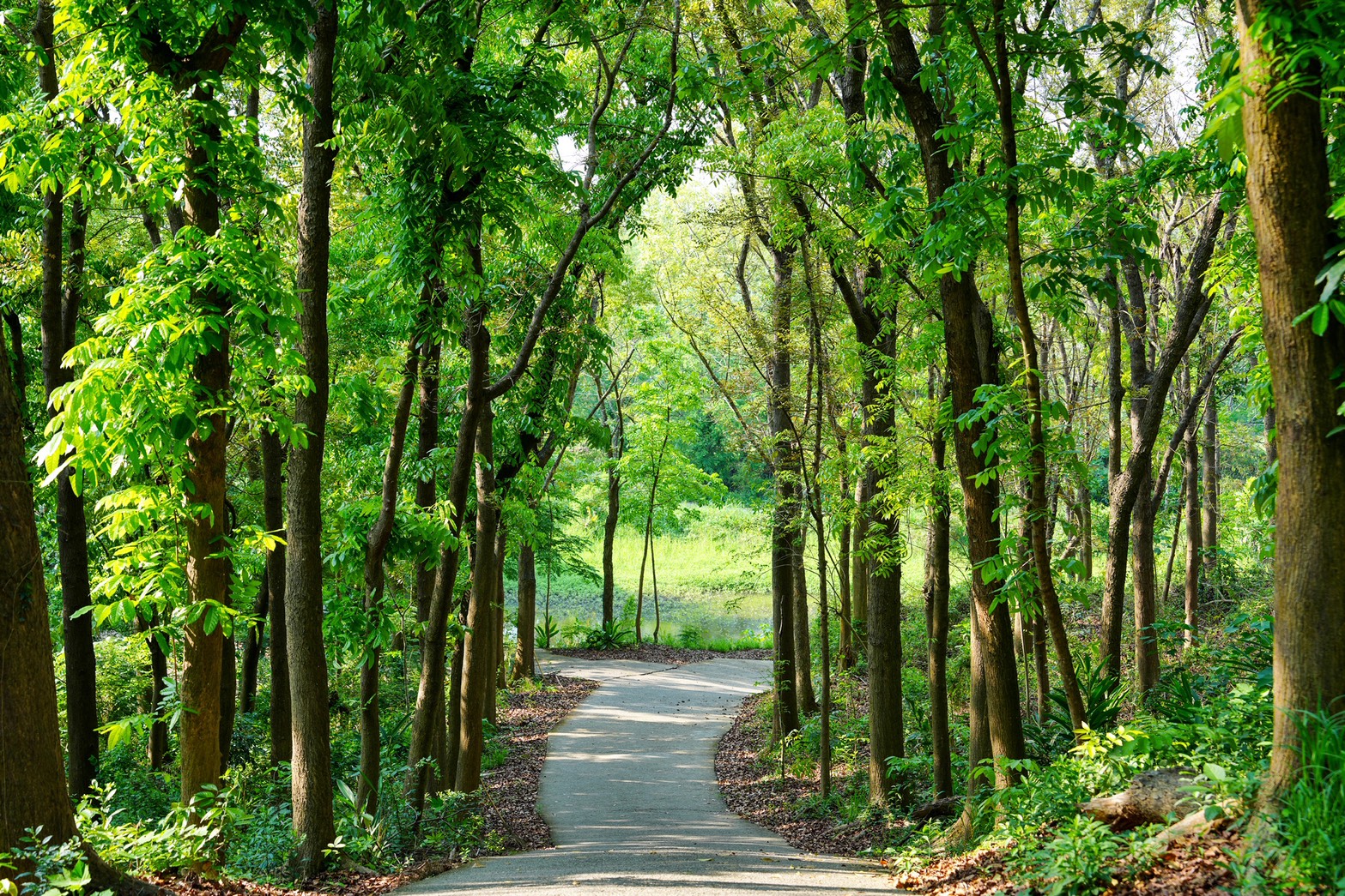 川文山森林生態保育農場