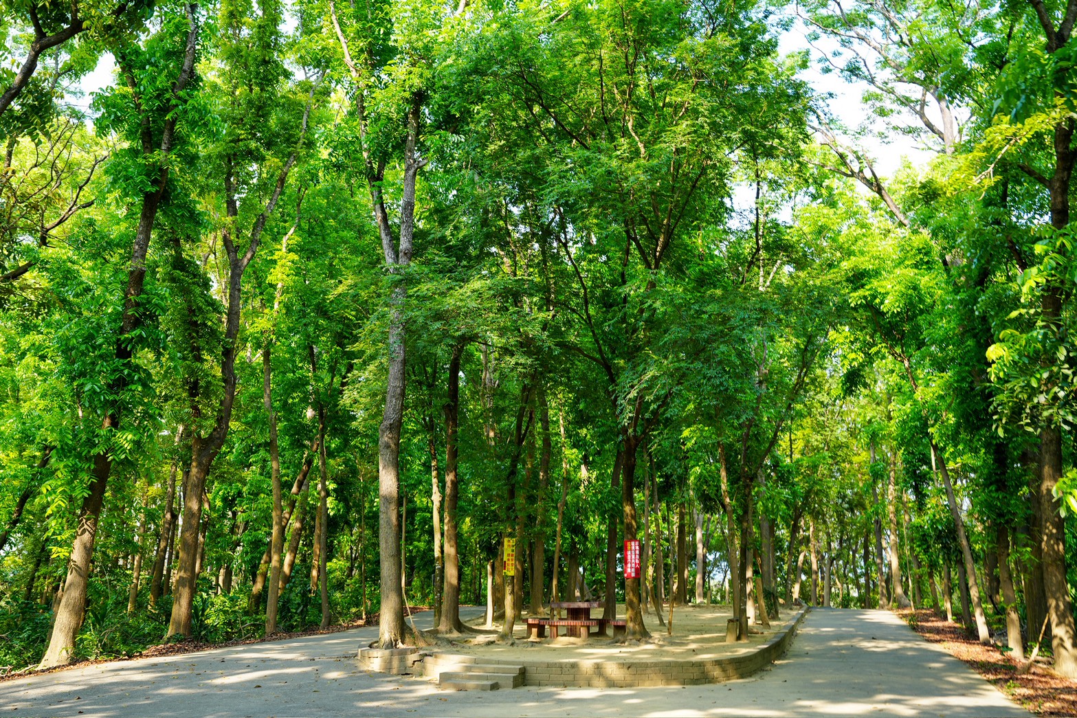 川文山森林生態保育農場