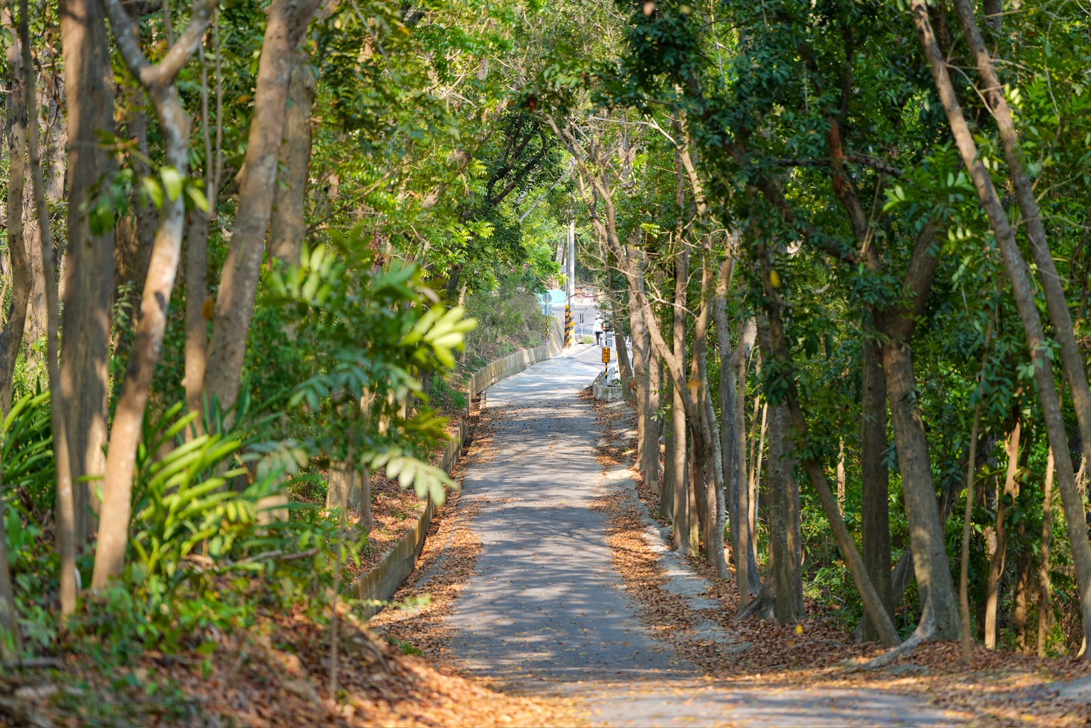 川文山森林生態保育農場