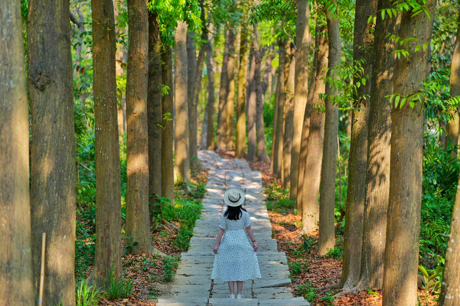 川文山森林生態保育農場