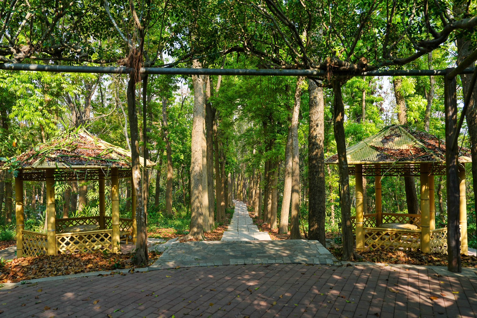 川文山森林生態保育農場