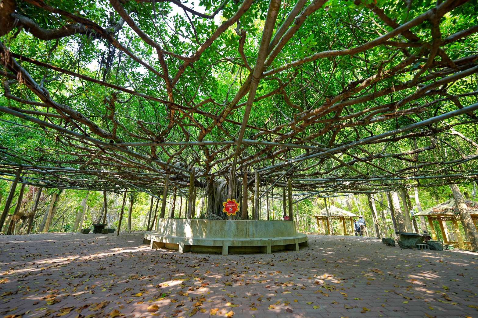 川文山森林生態保育農場