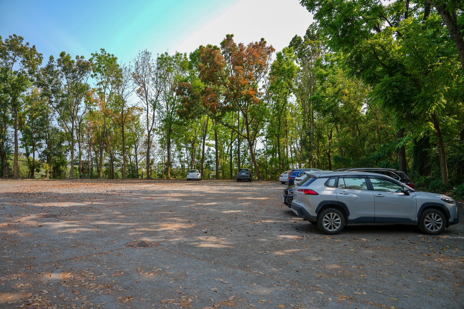 川文山森林生態保育農場