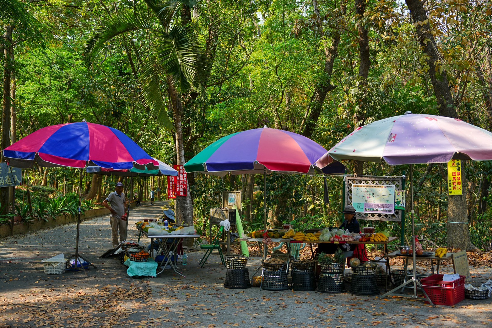 川文山森林生態保育農場