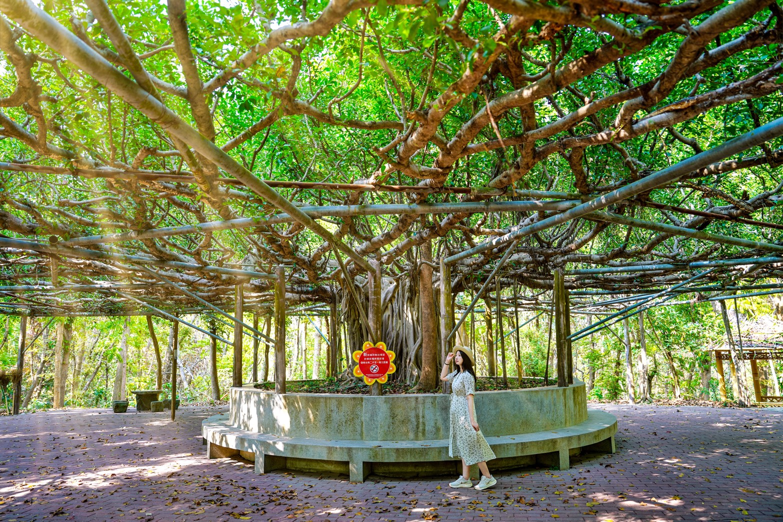 川文山森林生態保育農場