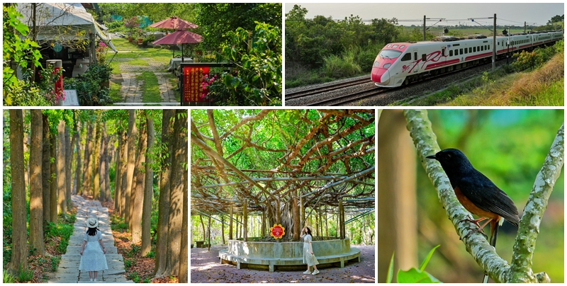 網站近期文章：【台南景點】川文山森林生態保育農場 小陽明山之稱 園內有火車秘境 森林步道 和 桃花仙境的邨田農莊