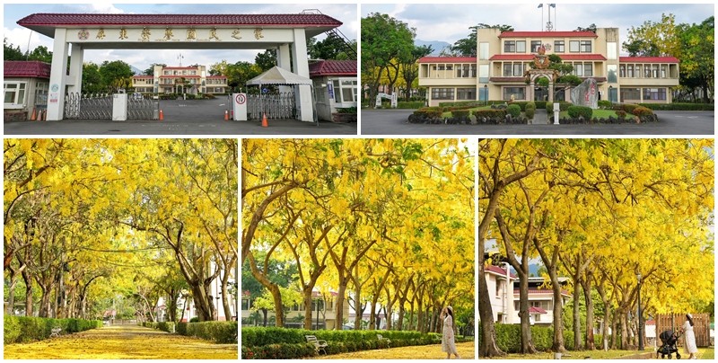 網站近期文章：【 屏東景點】屏東榮譽國民之家 超美阿勃勒隧道盛開