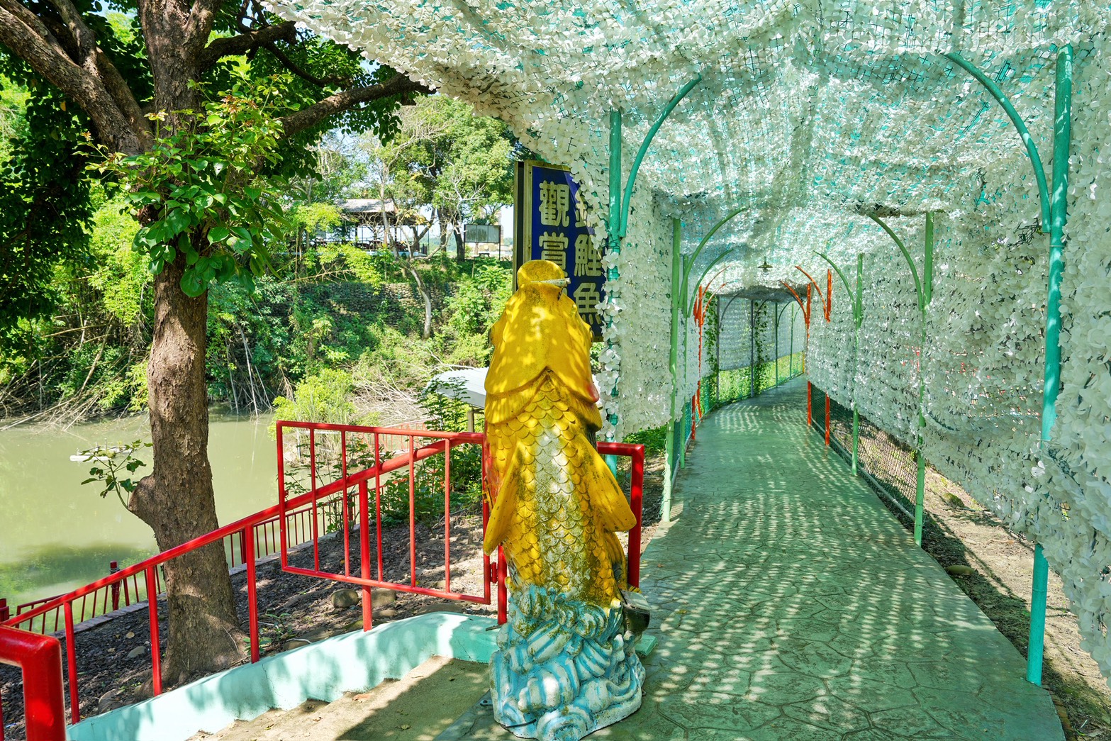 S__199786523_0 @跟著阿瑋去旅行 @跟著阿瑋去旅行