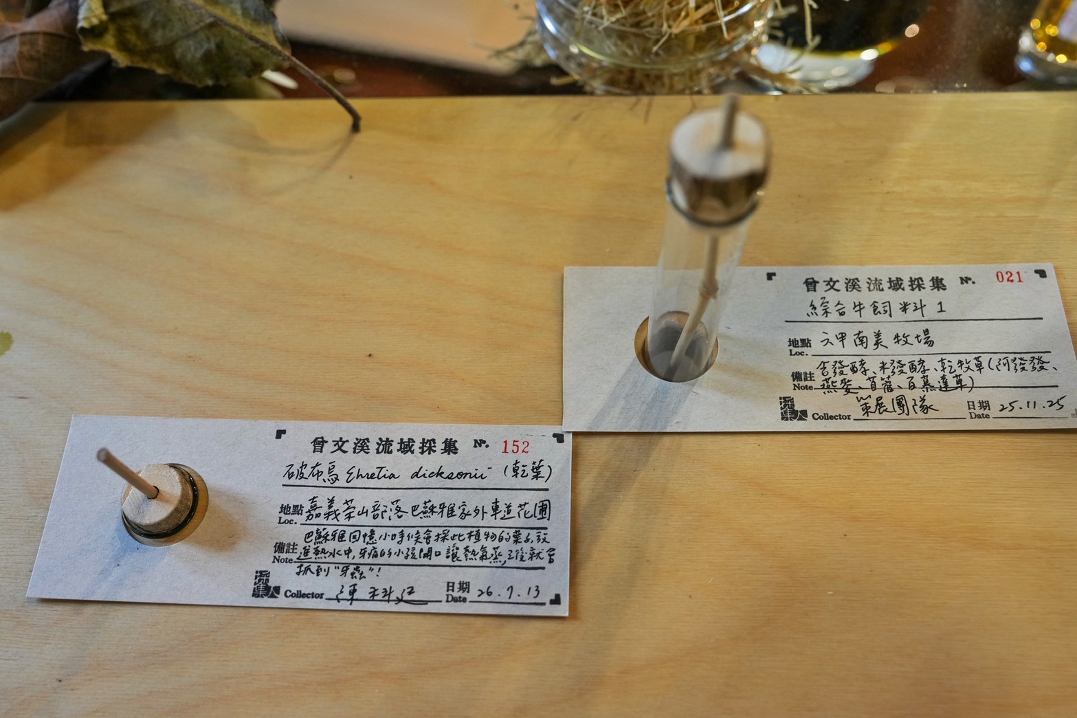 S__206307370_0 @跟著阿瑋去旅行 @跟著阿瑋去旅行